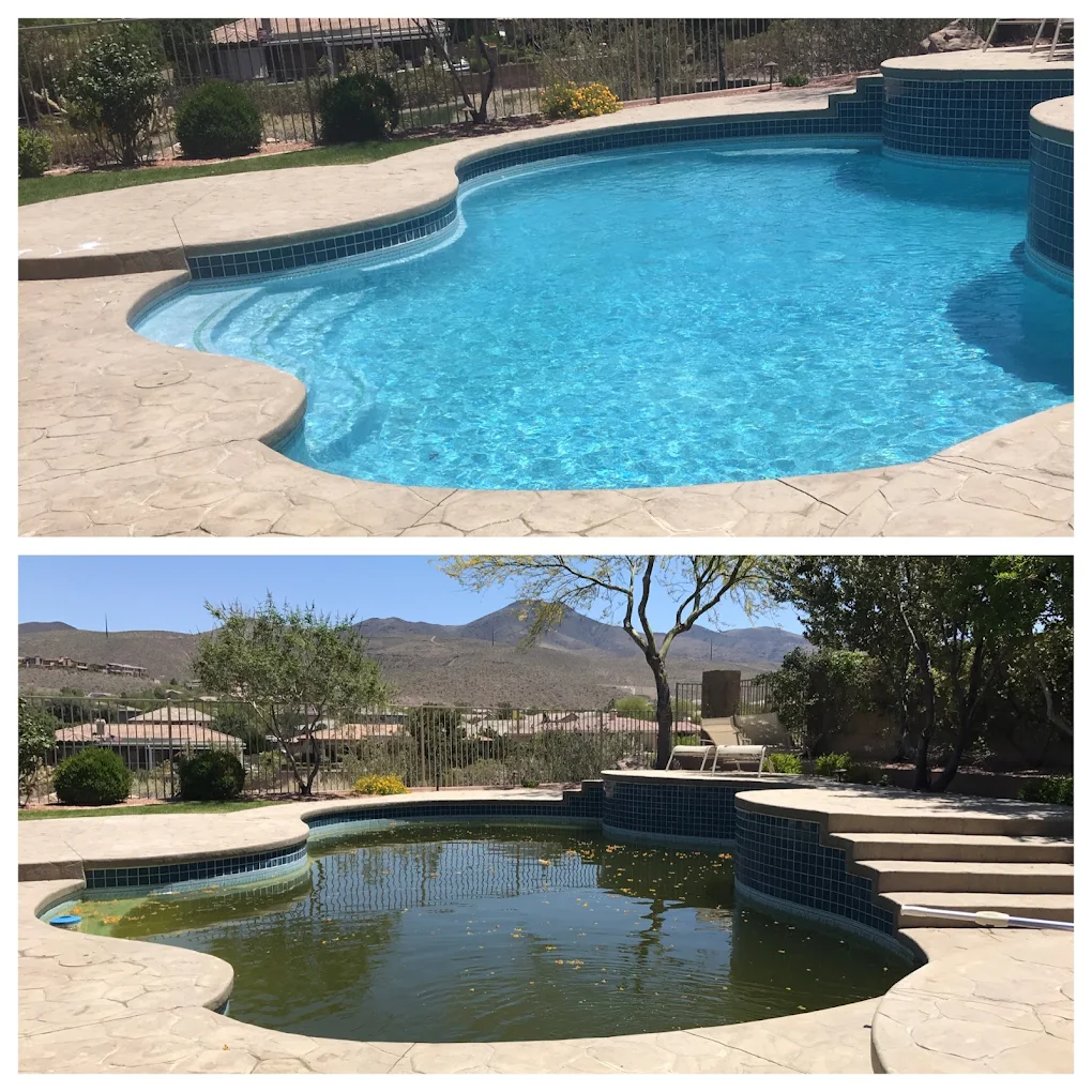From Pre-Purchase Pool Inspections to Pre-Listing Checks