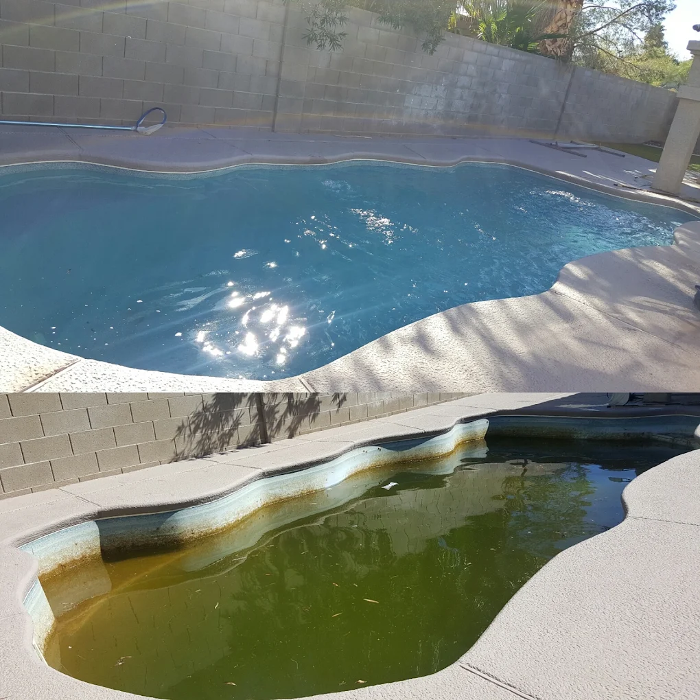 Why New Homeowners Choose Our North Las Vegas Pool Service